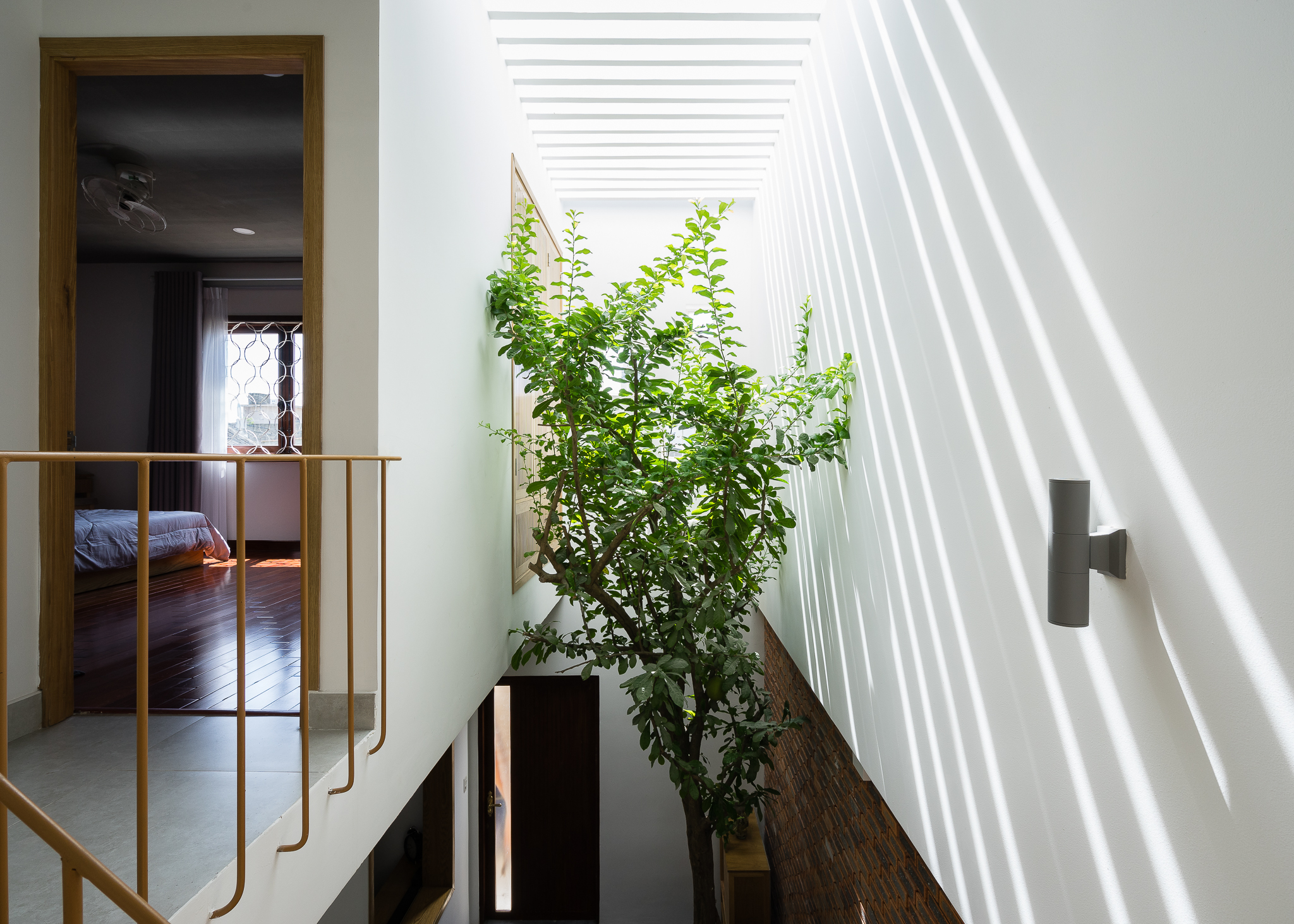 thiết kế giếng trời cho nhà phố